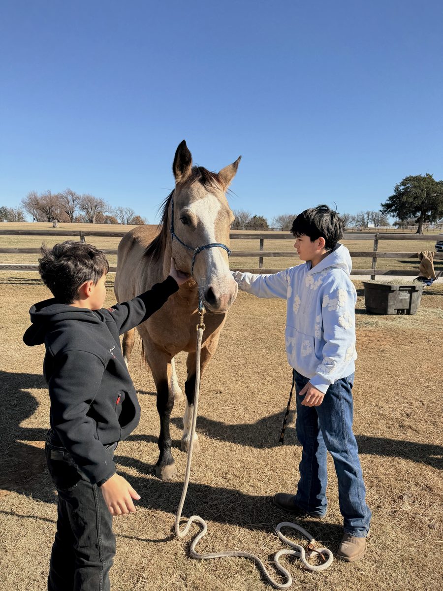 Two LFG Academy students working with a horse at the ranch